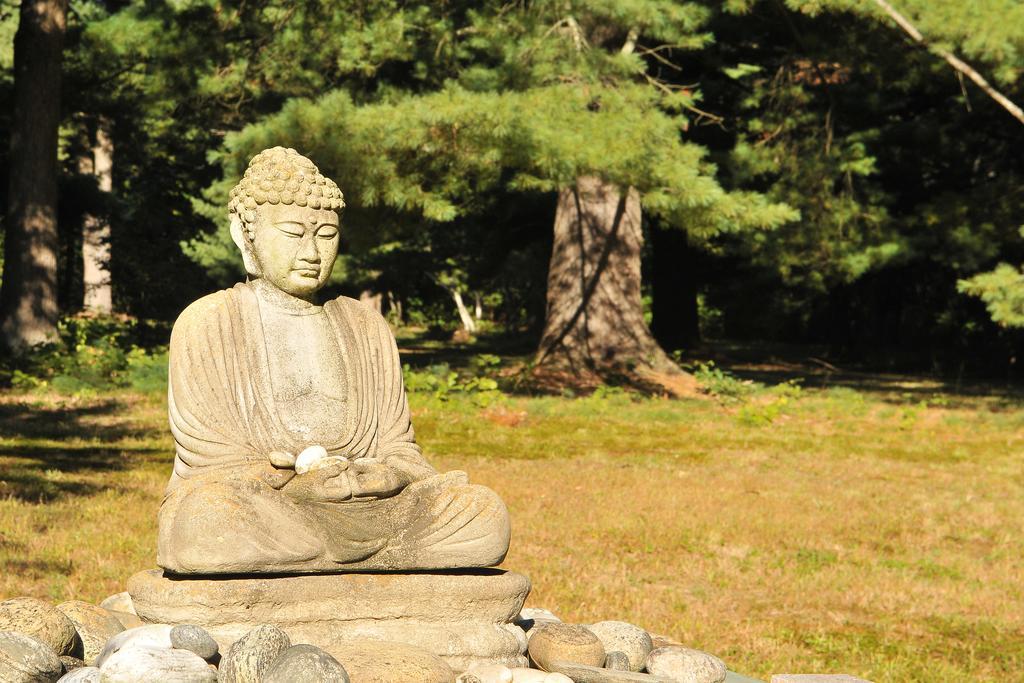 Bass Manor Bed And Breakfast & Art Museum 马耳他 外观 照片